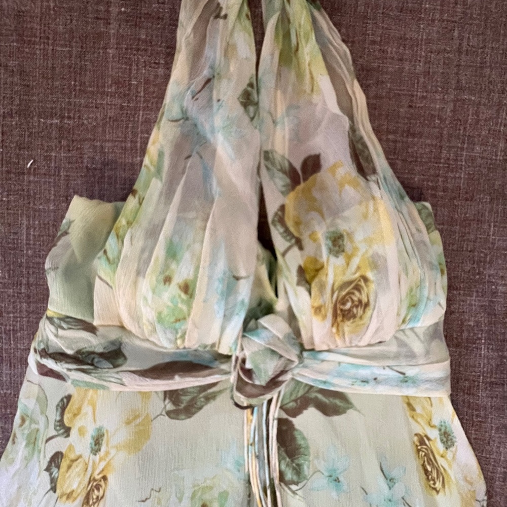 Silk chiffon dress